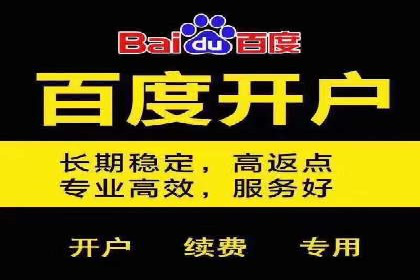 百度推广收费策略：案例分析及优化建议
